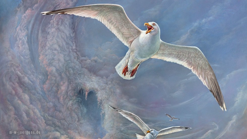 Ausschnitt Tafelbild M&ouml;wen vor Helgoland, &copy; Manfred W. J&uuml;rgens