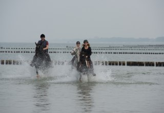 De manege Gränert biedt ritten naar de Oostzee., © TMV/ Frank Hafemann De manege Gränert biedt ritten naar de Oostzee., © TMV/ Frank Hafemann