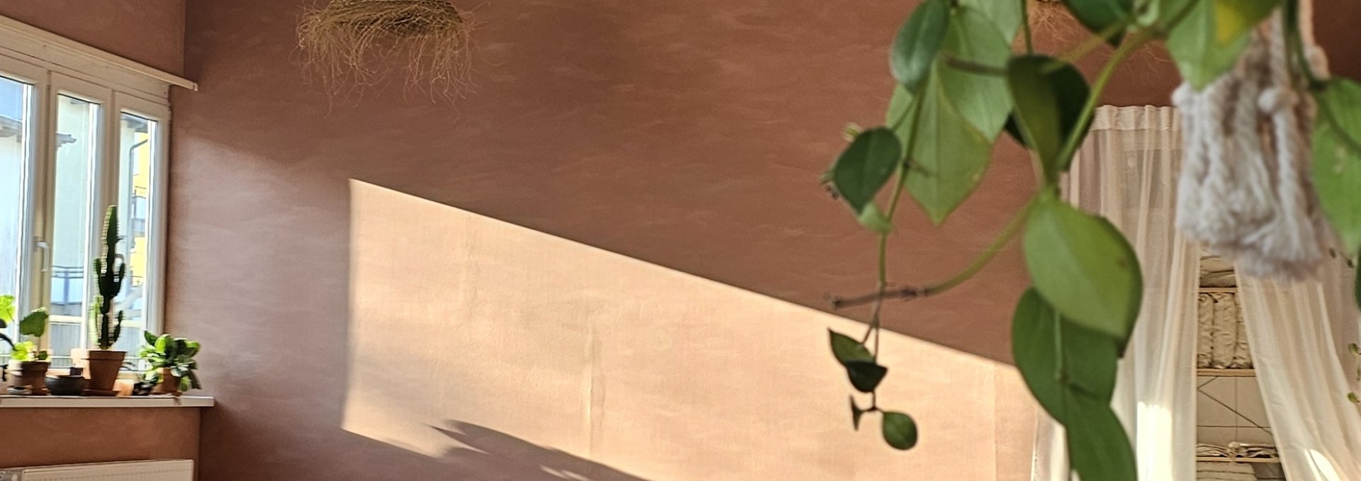 20260121_113617 20260121_113617