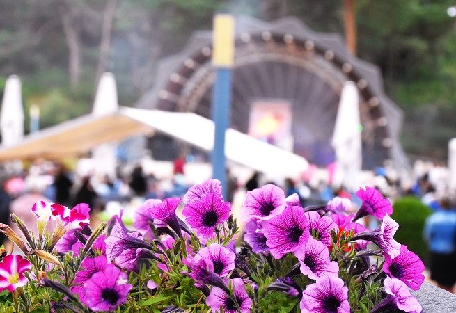 &copy; Pfingstfest2.JPG