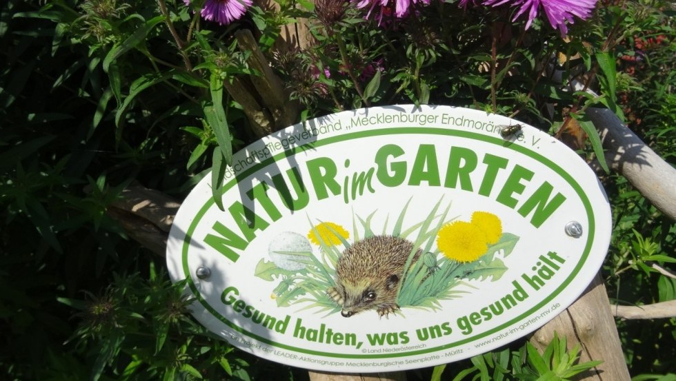 De tuin op het landgoed Alt Guthendorf bij Marlow doet mee aan de natuurtuincampagne "Open Garden Door // © Renate Topp De tuin op het landgoed Alt Guthendorf bij Marlow doet mee aan de natuurtuincampagne "Open Garden Door // © Renate Topp