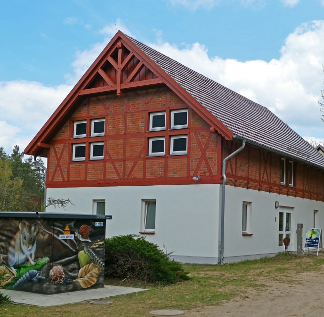 Hier bekommen Sie Informationen über den Lebensraum Buchenwald. // © Wiebke Döbbert Hier bekommen Sie Informationen über den Lebensraum Buchenwald. // © Wiebke Döbbert