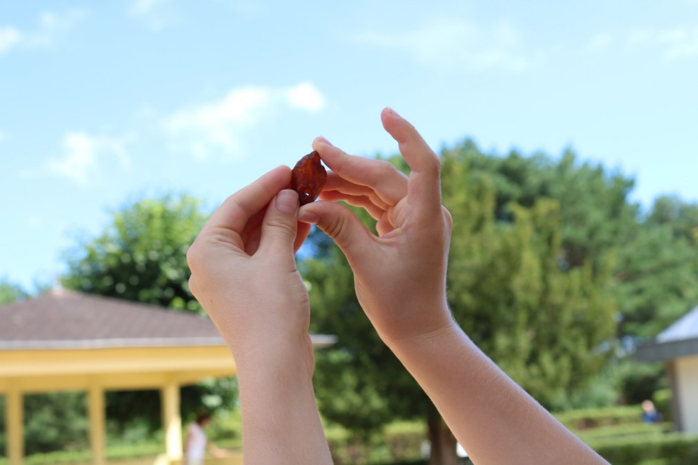 Vortrag: "Bernstein &ndash; das Gold der Ostsee", &copy; bernstein-va-neusta