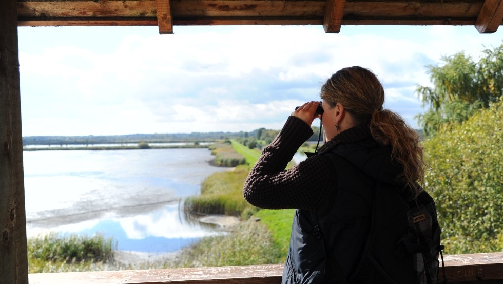 &copy; MV-T/Foto@Andreas-Duerst.de