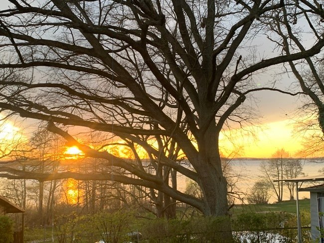 Sonnenuntergang, &copy; Wald- und Seeblick Camp Zislow