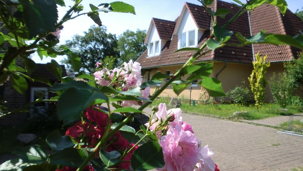 &copy; Maxi Wei&szlig;