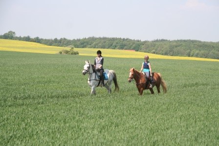prachtig landschap, © Foto: Markgraf prachtig landschap, © Foto: Markgraf