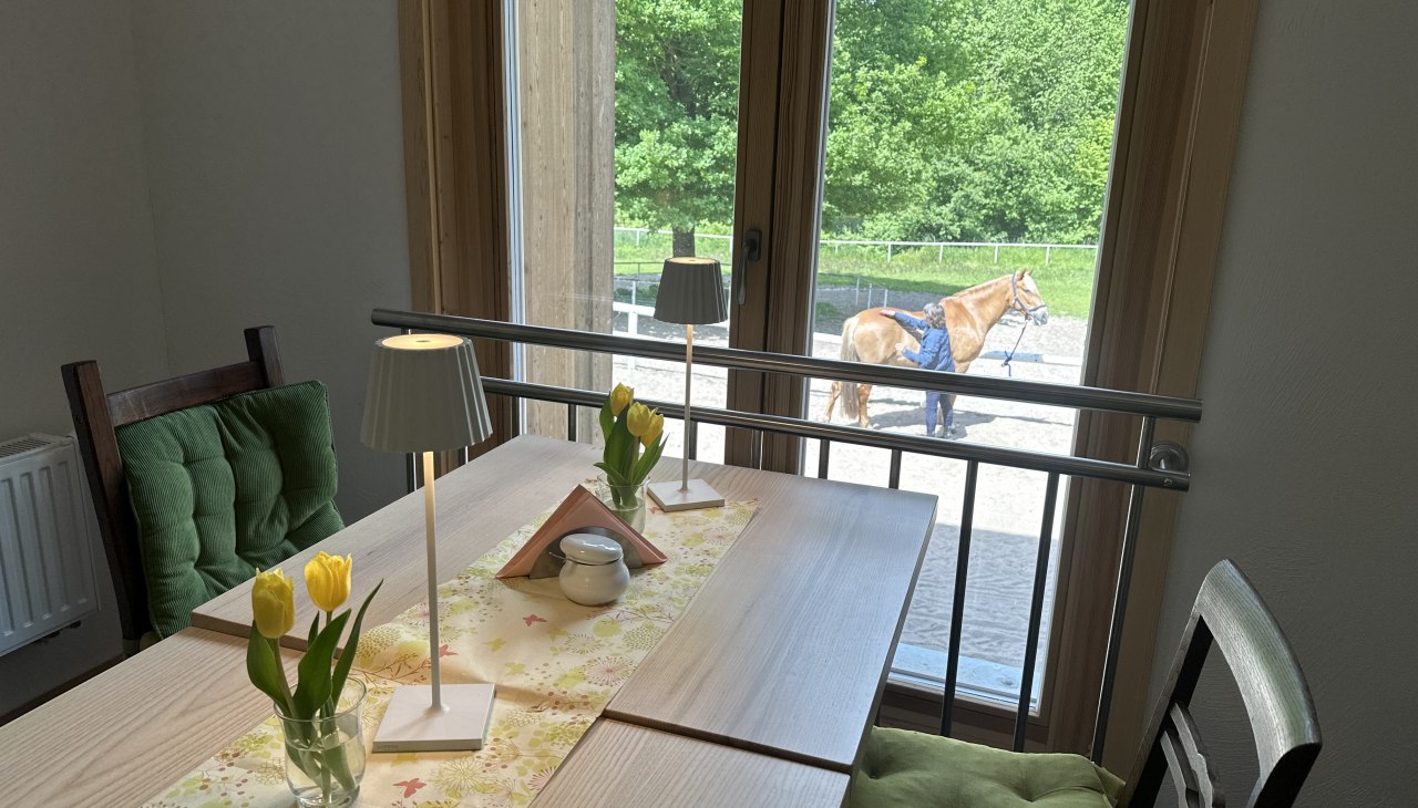 Caf&eacute; Hufschlag Blick aus dem Fenster, &copy; Landurlaub M-V e.V./ Anika Weisbrich