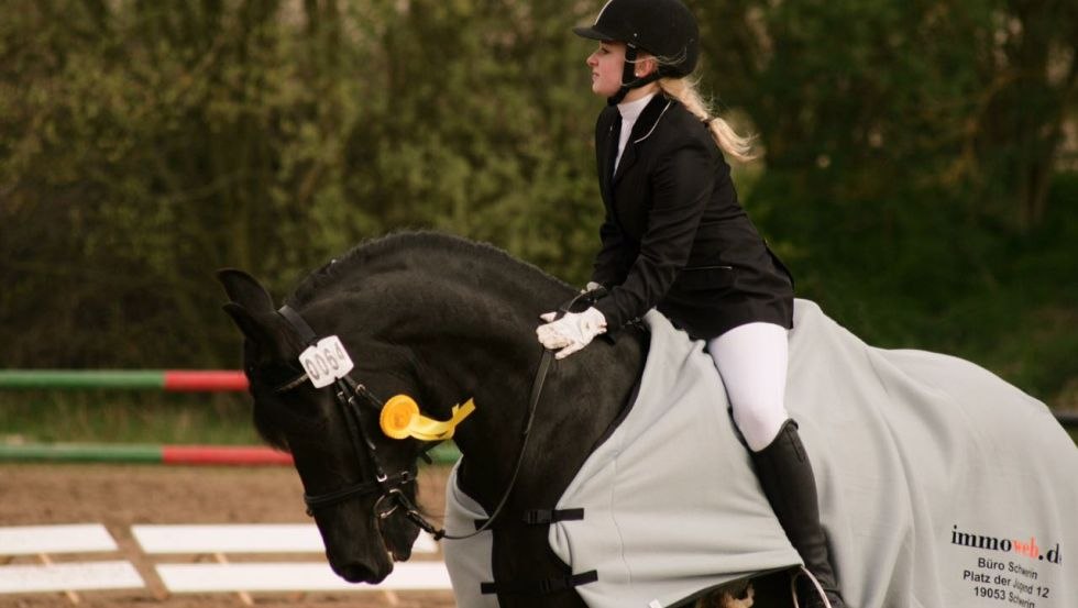 Beim Reiverein Hubertus in Raben Steinfeld im Schweriner Umland erlernen Sie das Reiten oder Erleben eine Kutschfahrt // © Reitverein Hubertus/ Patrick Kort Beim Reiverein Hubertus in Raben Steinfeld im Schweriner Umland erlernen Sie das Reiten oder Erleben eine Kutschfahrt // © Reitverein Hubertus/ Patrick Kort
