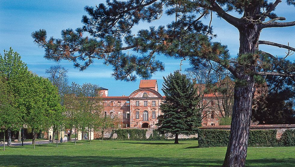 Von einem der bedeutensten Klöster und größten Renaissance Schlösser Mecklenburg-Vorpommerns blieben in Dargun nur noch die Grundmauer übrig // © MV-T/Legrand Von einem der bedeutensten Klöster und größten Renaissance Schlösser Mecklenburg-Vorpommerns blieben in Dargun nur noch die Grundmauer übrig // © MV-T/Legrand