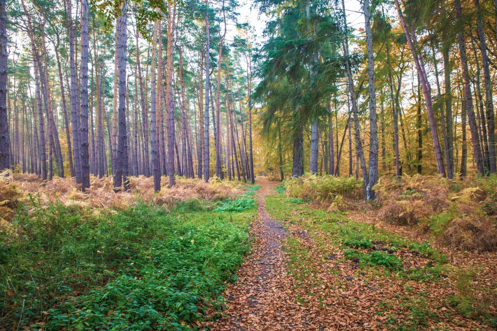 "Tu dir gut " F&ouml;rsterwanderung zum Wocknin See, &copy; insel-fotograf.eu, Andreas Dumke