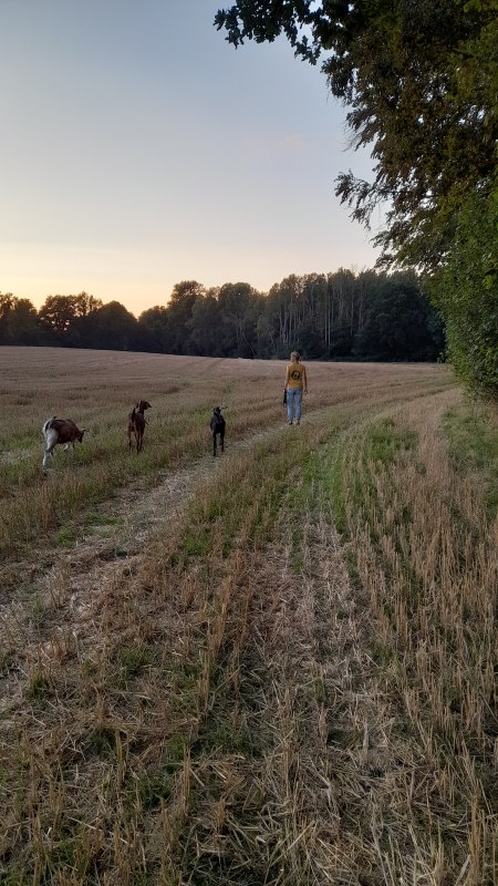 &copy; Andrea Hauser