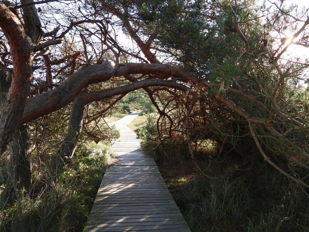 &copy; Martin Hagemann