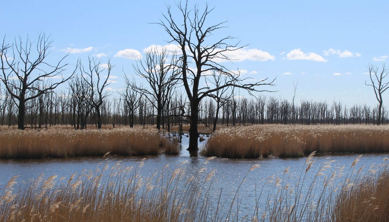 Wanderung " Eine Stadt am Fluss", &copy; AFL