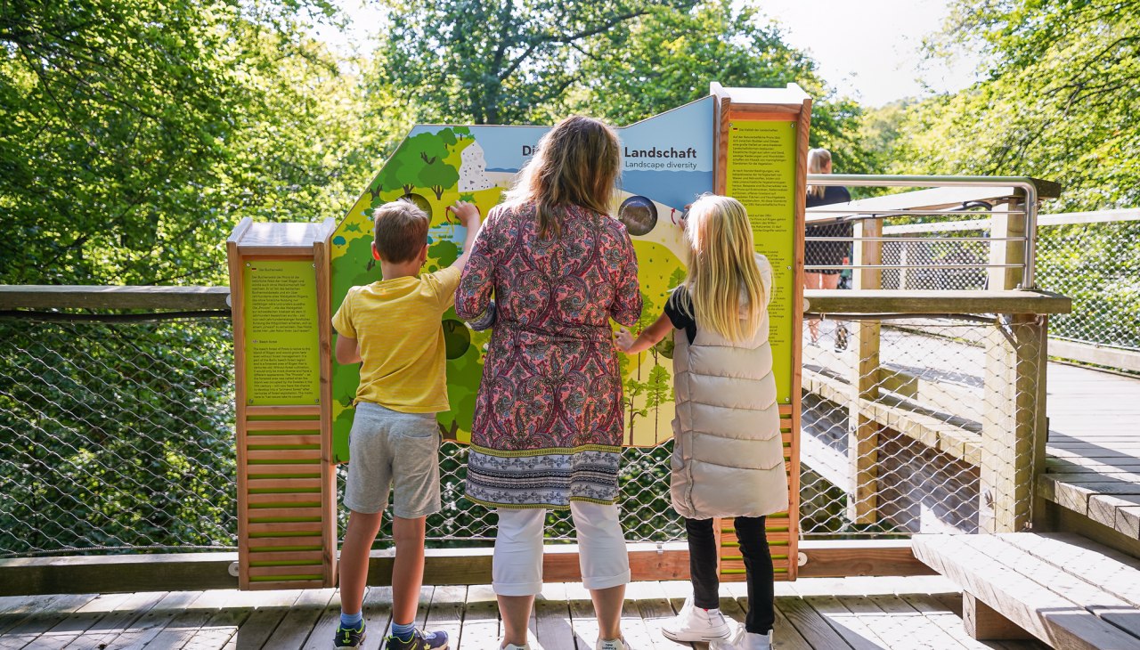 Leerstation in het natuurerfgoedcentrum Rügen, © Naturerbezentrum Ruegen Leerstation in het natuurerfgoedcentrum Rügen, © Naturerbezentrum Ruegen