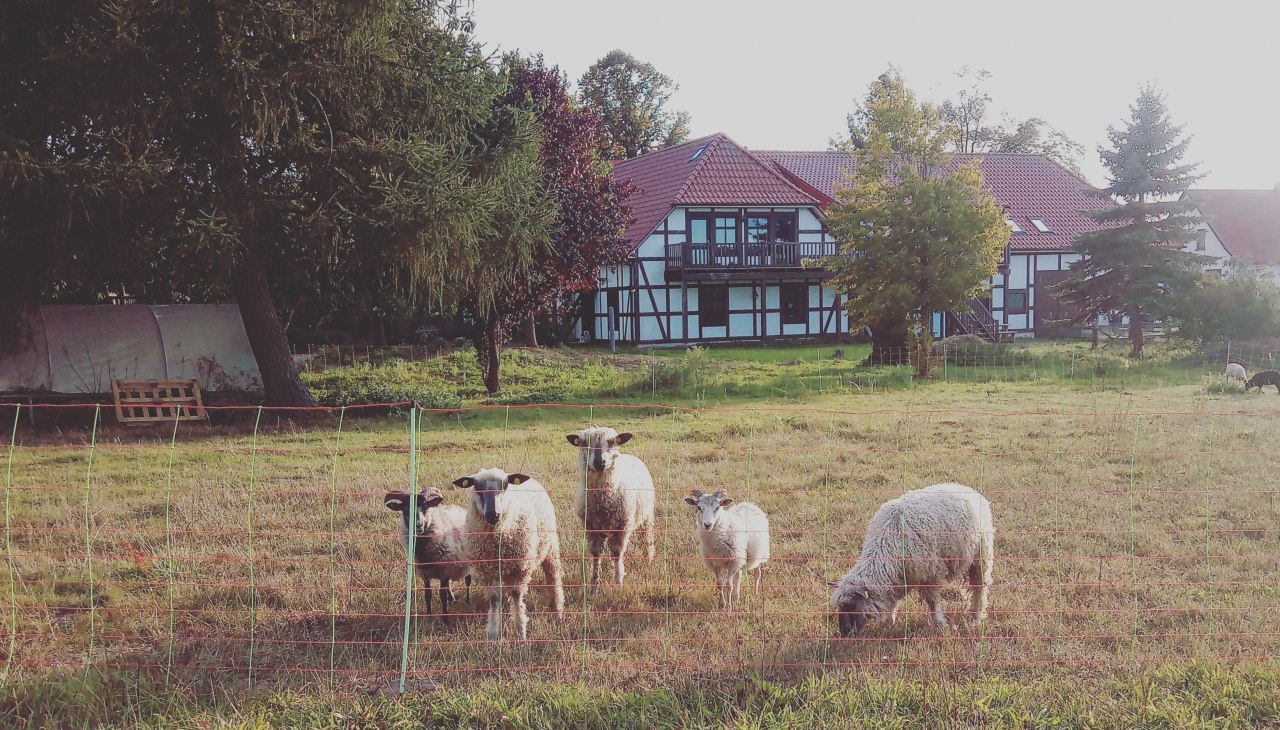 img_20180913_201226_043-kopie, © Foto: Jaeschke img_20180913_201226_043-kopie, © Foto: Jaeschke