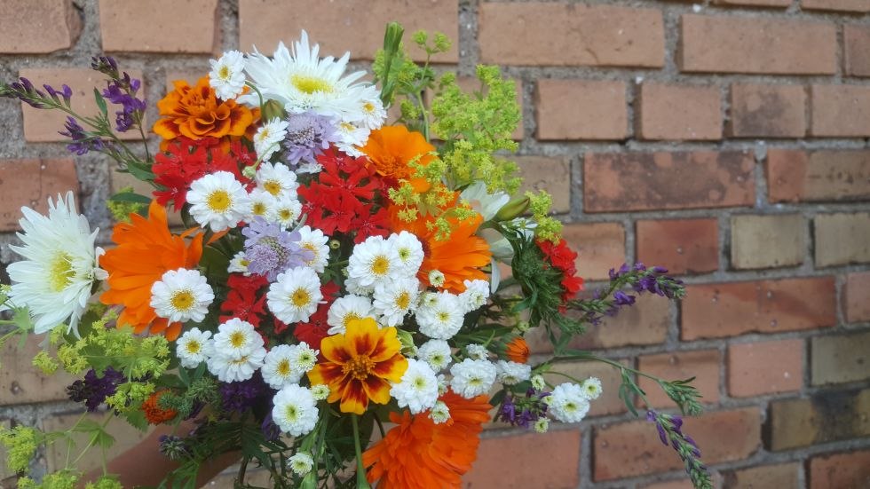 Johanna Dittrich Blumen, &copy; Johanna Dittrich