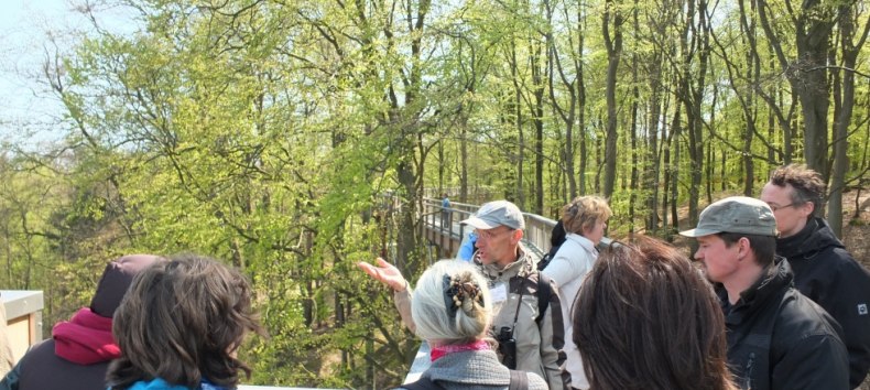 F&uuml;hrung &uuml;ber den Baumwipfelpfad durch einen Zertifizierten Natur- und Landschaftsf&uuml;hrer // &copy; Martin Hagemann