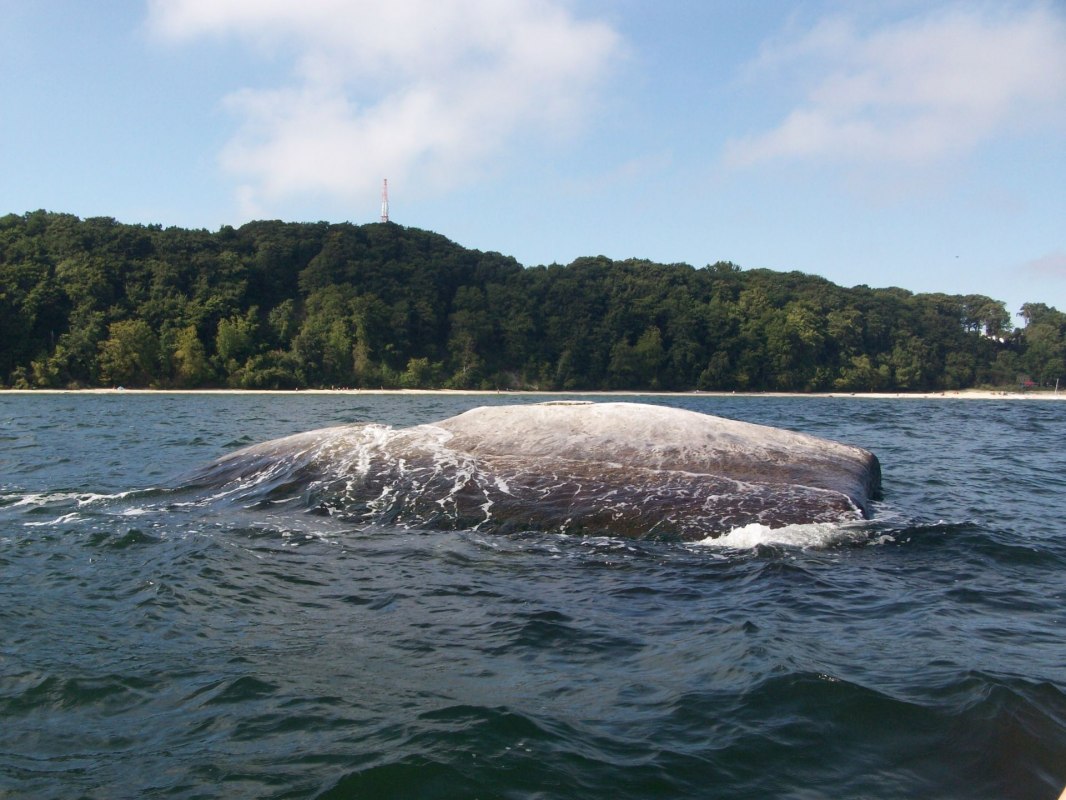 &copy; Kurverwaltung Goehren