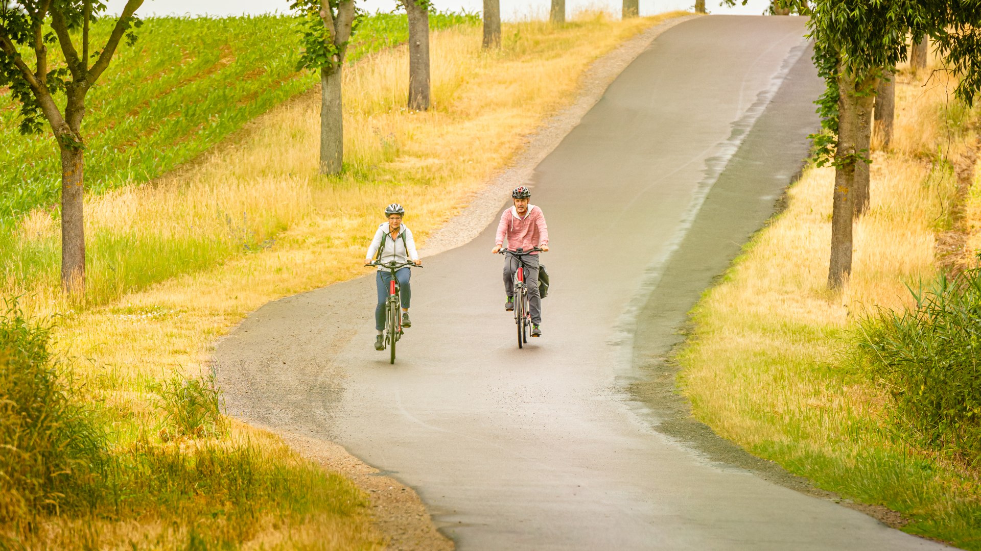 E-Bike fahren auf einer Allee durch die Mecklenburgische Seenplatte
