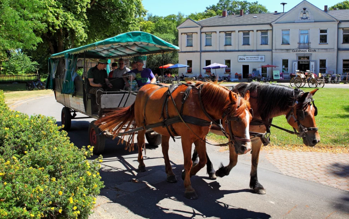 Wildpark Boek, © TDG Rechlin Wildpark Boek, © TDG Rechlin