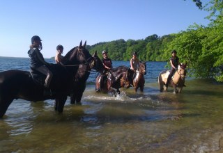 &copy; Reitverein Hubertus