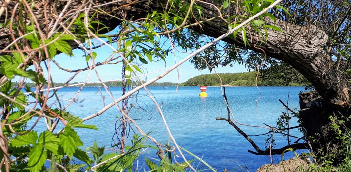 Der Schweriner Innensee // &copy; adfc-Schwerin