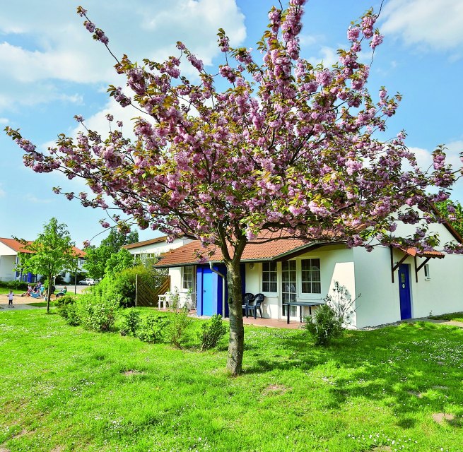 &copy; AWO SANO gGmbH