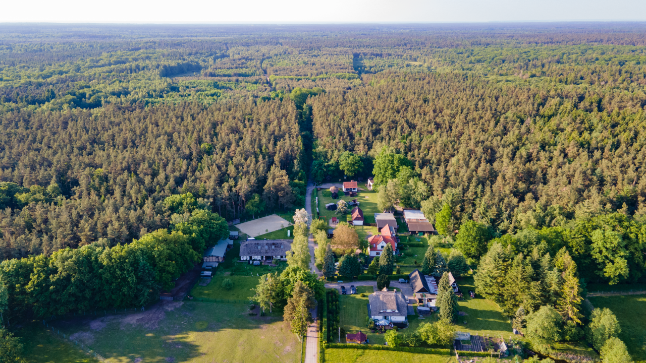 Ein Blick auf den Hof und die Rostocker Heide // &copy; TMV/Witzel