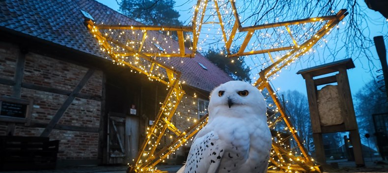 © Hansestadt Stralsund