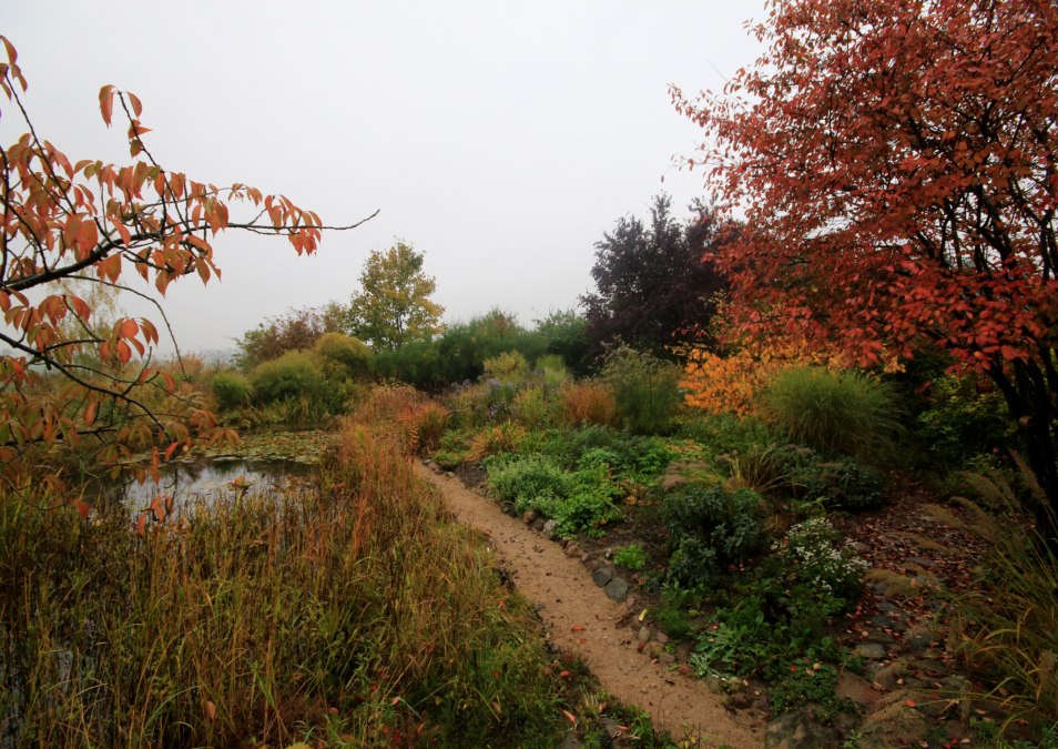 Herbst am Sündenborn, © Claus Gering