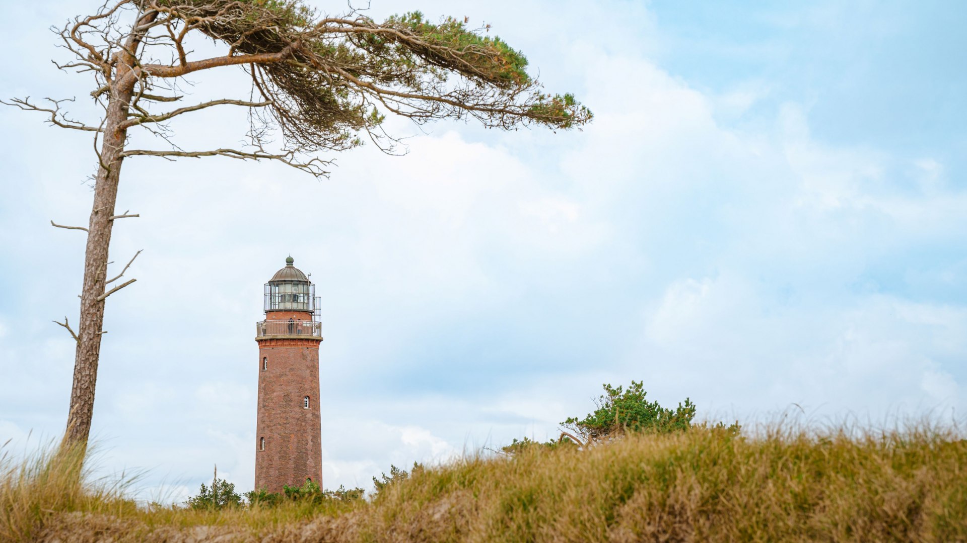 Roter Backsteinleuchtturm am Dar&szlig;er Ort mit windgeformter Kiefer und D&uuml;nenlandschaft am Weststrand.