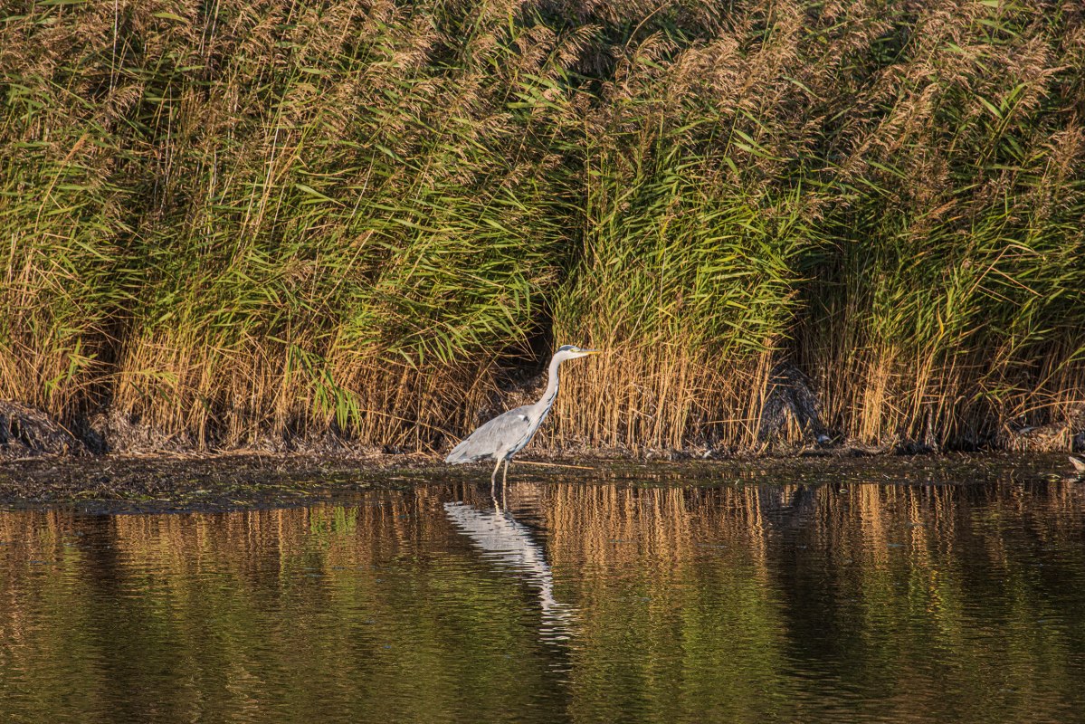 &copy; Wei&szlig;e Flotte GmbH