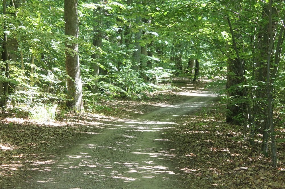Radtour Naturpark Nossentiner/Schwinzer Heide, &copy; Andreas Breuer