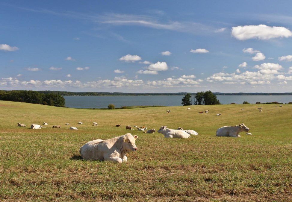 Loddiner Höft, © TMV/Gohlke