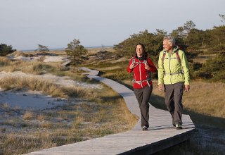 Lohnender Holzweg: Auf dem Dar&szlig; f&uuml;hren viele Wege direkt ans Meer // &copy; TVFDZ/outdoor-visions.com