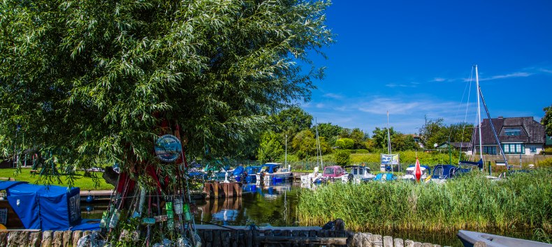 &copy; 20240807-IMG_2598.jpg