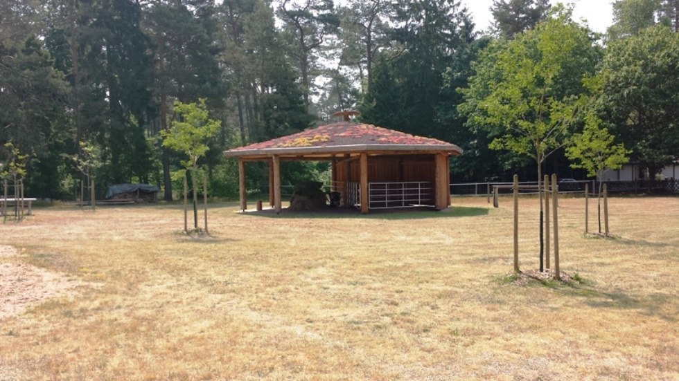 Gastpferdeweiden und ein Gastpferdeoffenstall hei&szlig;en Reiter und Pferd herzlich willkommen auf der Ferienanlage Am Walde in Wooster Teerofen. // &copy; Thamm