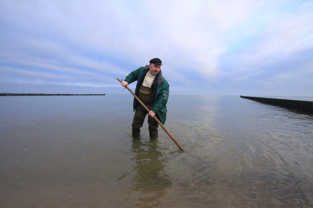 Geführte Bernsteinsuche am Strand mit Thomas Reich, © Bernsteinsuche