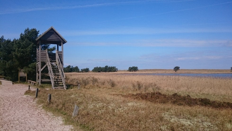 Aussichtsturm am Libbertsee // &copy; UB