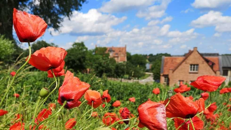 © Schloss Ulrichshusen © Schloss Ulrichshusen