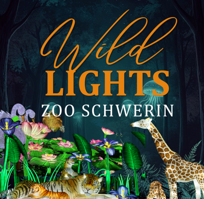 Wild Lights Zoo Schwerin // © Zoo Schwerin Wild Lights Zoo Schwerin // © Zoo Schwerin