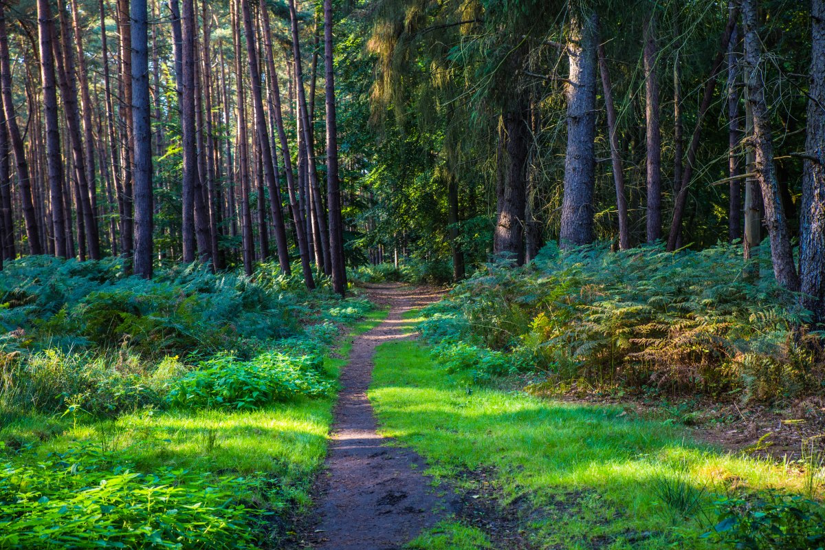 &copy; insel-fotograf.eu, Andreas Dumke