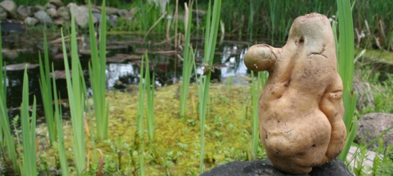 &copy; Elena Kolcova