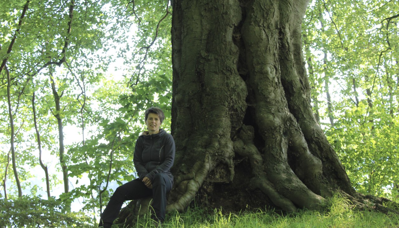 Boom meditatie, © Dr. Dorit Stövhase-Klaunig Boom meditatie, © Dr. Dorit Stövhase-Klaunig