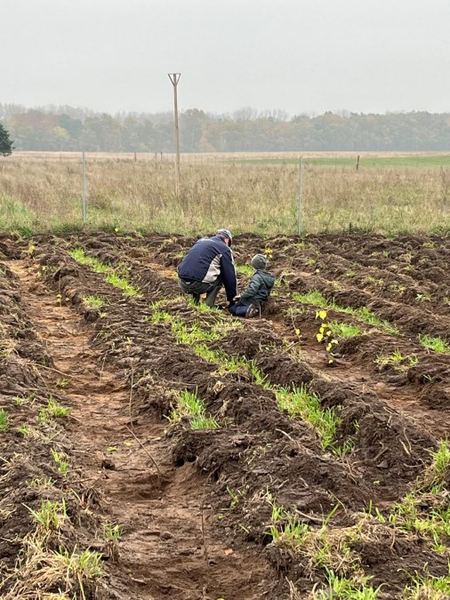 Klimawald Dreschvitz - Pflanzaktion Herbst 2024, © Landesforst MV Klimawald Dreschvitz - Pflanzaktion Herbst 2024, © Landesforst MV