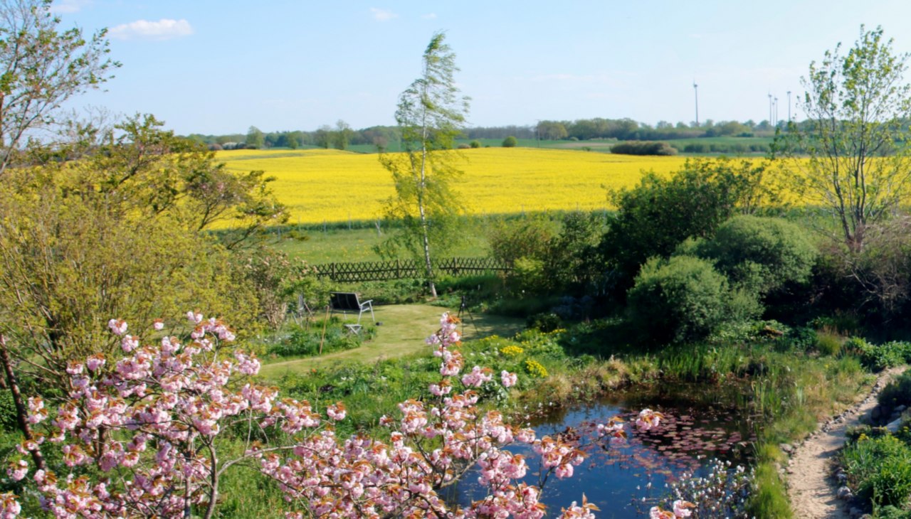 Fr&uuml;hling - mit Rapsbl&uuml;te im Mai, &copy; Claus Gering