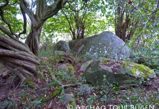 Verborgen in de struiken liggen de overblijfselen van de megalithische graftombe "Teetsbusch". // © Archäo Tour Rügen Verborgen in de struiken liggen de overblijfselen van de megalithische graftombe "Teetsbusch". // © Archäo Tour Rügen