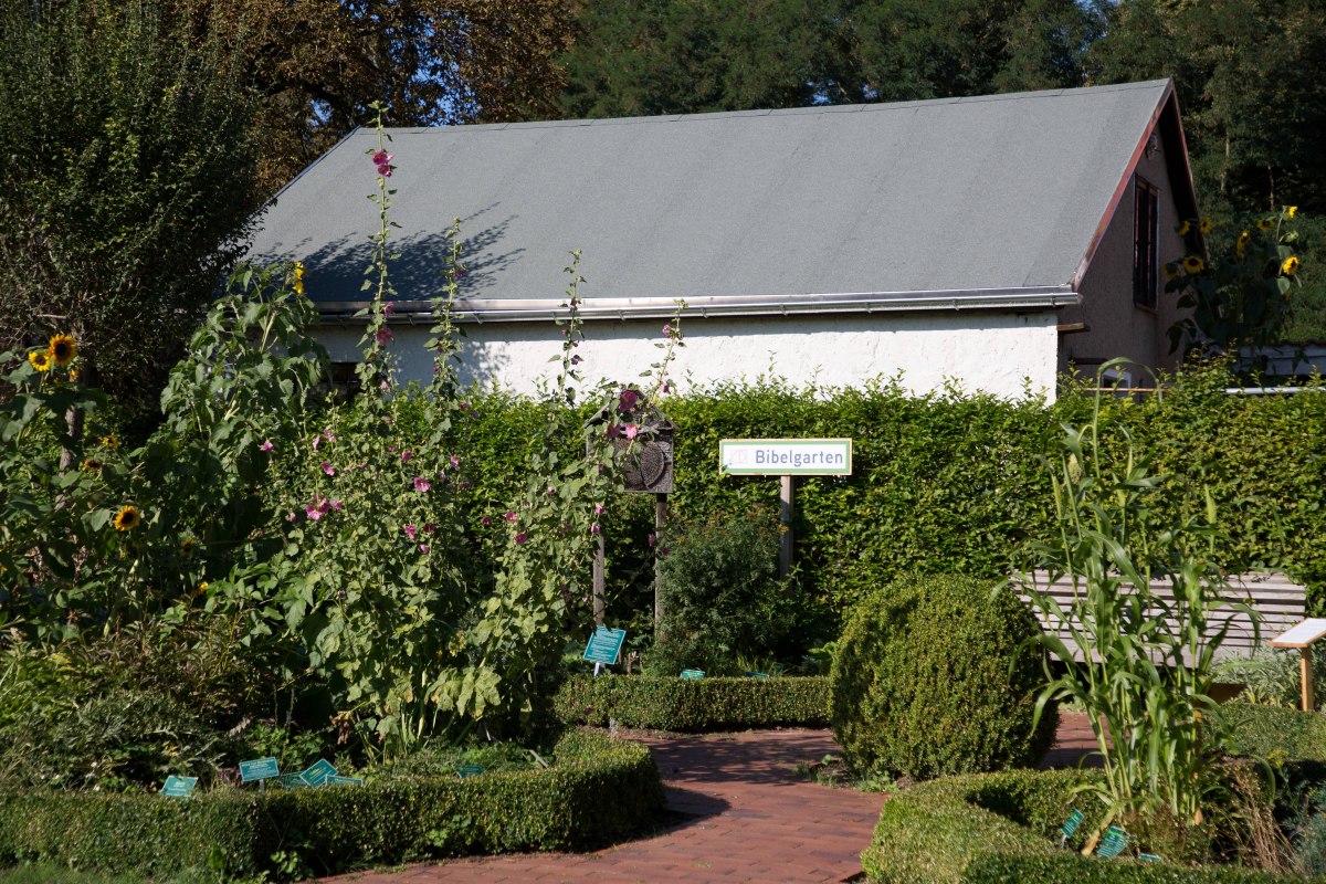 Bibelgarten, © Stadt Barth Bibelgarten, © Stadt Barth