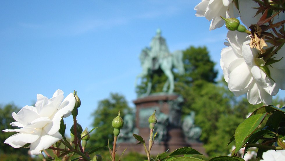 Das Reiterstandbild im Schlossgarten umgeben von Rosen, © Tourismusverband Mecklenburg-Schwerin